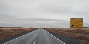 На востоке Оренбургской области идет ремонт трассы на Светлый и отворота на Ясный. Как сейчас выглядят участки?