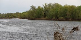 С начала купального сезона в Оренбургской области утонули 4 человека