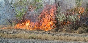 В Оренбургской области объявили режим чрезвычайной пожарной опасности