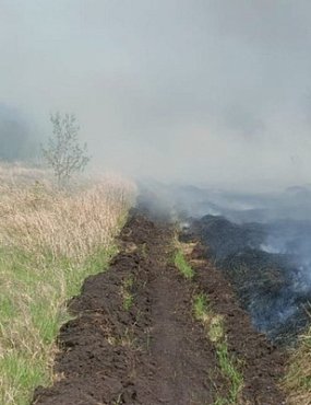 Пожар сегодня днем в Абдулинском городском округе. Источник: ГУ МЧС РФ по региону
