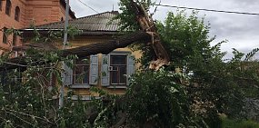В Оренбурге рядом со зданием управления автодорожного надзора уже 3 день лежит дерево
