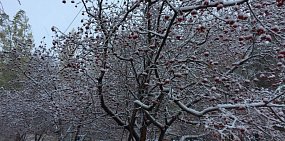 В Оренбургской области может похолодать до –25 градусов