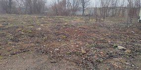 Земли. Фото прокуратуры Оренбургской области 