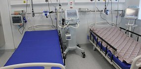 В Оренбургской области в продаже может находиться смертельно опасная кукуруза 
