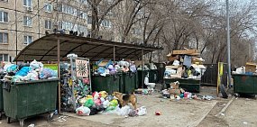 В Оренбурге площадки завалены мусором, который едят собаки, голуби и крысы