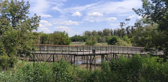 Тропа здоровья 3 августа в Оренбурге