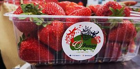 «Ягодный патриотизм»? Оренбургская клубника дороже турецкой, но покупают ее лучше