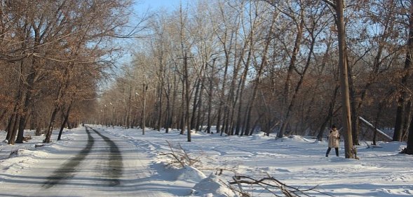 Предприниматели Орска предлагают сдавать участки в благоустраиваемых парках в аренду