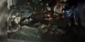 На мусорных площадках Оренбурга нашествие крыс