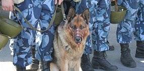 В Оренбурге прошли командно-штабные учения