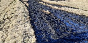 В 2022 году в Оренбургской области произошло 35 случаев загрязнения земли нефтью