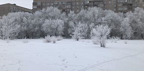 Снежные деревья в Орске