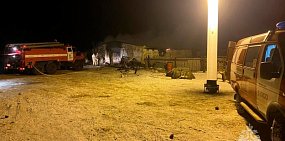 Целое стадо овец и крупного рогатого скота погибло на пожаре в Оренбургской области