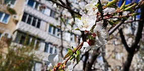 4 мая в Оренубургской области будет жарко - до +28 градусов 