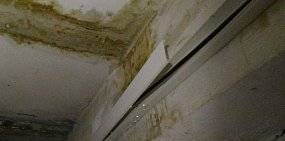 В Оренбурге талая вода с крыши топит дом