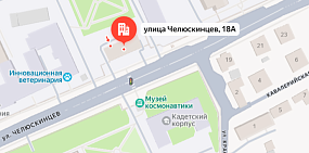 Челюскинцев, 18, фото: Яндекс.Карты