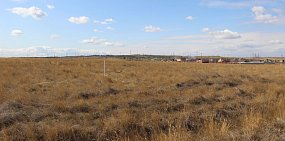 Деньги вместо земли в Оренбургской области смогут получить в два раза больше многодетных семей