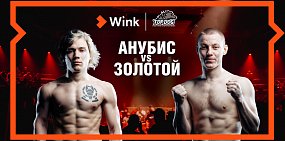 16 апреля в Wink впервые в прямом эфире кулачные бои TOP DOG