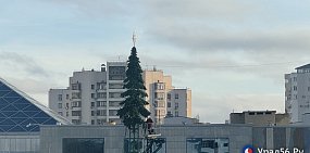 На площади у ДК «Газовик» в Оренбурге начали устанавливать новогоднюю елку