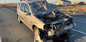 Водитель, накануне сбивший лошадь на трассе в Домбаровском районе, скончался в больнице