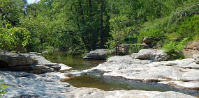 Карагайский бор, Оренбургская область. Фотограф: Евгений Васильченко
