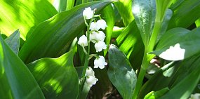 Какая погода ждет жителей Оренбурга и Орска на этой неделе