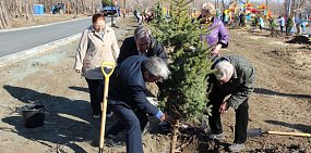 В парке Строителей Орска начали высаживать голубые ели