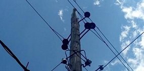 В Орске кот просидел на столбе несколько суток