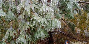 Дождь и морозы до -11°С: Какая погода ждет Оренбургскую область в ближайшие выходные дни