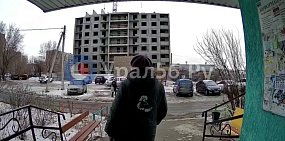 В Орске свора собак напала на ребенка