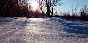 В Оренбургской области много снега: в некоторых районах его запасы превышают среднемноголетние значения на 130%