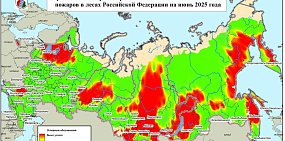 Оренбургская область не вошла в список регионов с риском большого числа лесных пожаров в июне. Однако они уже начались