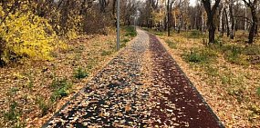 Морозно и без осадков: На этой неделе погоду в Оренбургской области будет определять Скандинавский антициклон