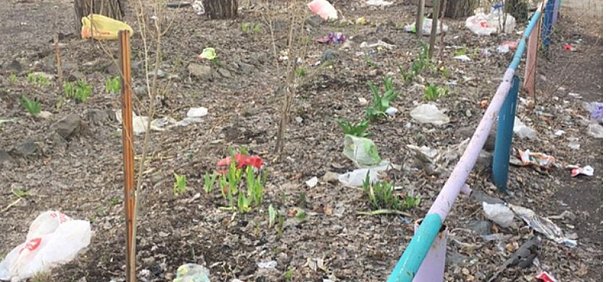 Жители Орска жалуются на свалки мусора в центре города