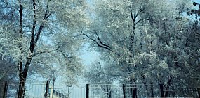 Погода в начале недели в Оренбургской области будет морозной: резко похолодает до -31°