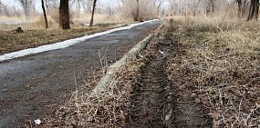 Администрация Орска не знает, что сливают в парке Малишевского ассенизаторские машины