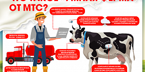Буренки в облаках: МТС помогает следить за здоровьем коров