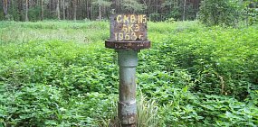 СМИ: Азербайджанская фирма SOCAR может начать добывать нефть в Бузулукском бору