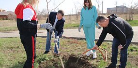 Орск принял участие в акции «Сад памяти»