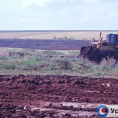 В Красногвардейском районе зачистили территорию. Фото очевидцев