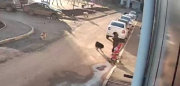 На месте происшествия. Источник: Стоп-кадр из видео, которое прислал местный житель