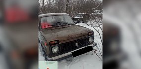 Машина нарушителя в Бузулкском бору. Фото тгк «Бузулукский бор»