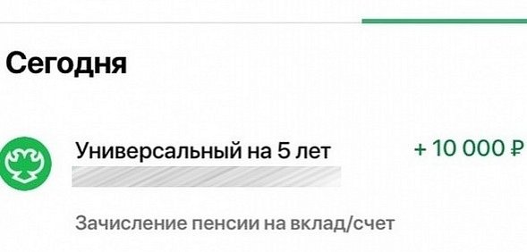 Жители Оренбургской области начали получать 10 тысяч рублей на детей