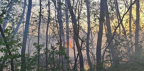 В Бузулуке горят дачи: эвакуированы 30 человек, огнем уничтожено более 10 участков