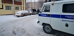 Автомобиль полиции. Фото из архива