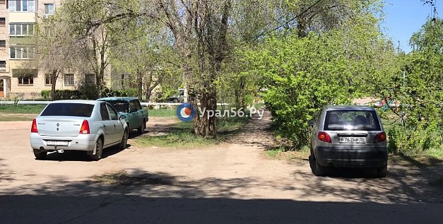 Алабай, который чуть не загрыз мальчика в Энергетике, был якобы домашним. Хозяин найден, животное погибло 
