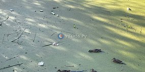 В Оренбургской области стартовал летне-осенний сезон охоты
