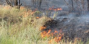 В Орске с 12 июля вводится особый противопожарный режим