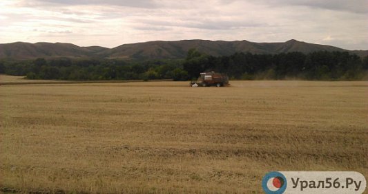 Переехала в село из-за денег, но работать отказалась? С жительницы Оренбургской области  требуют более 5 миллионов рублей из-за увольнения