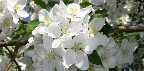 Какая погода ждет жителей Оренбурга и Орска в конце недели?